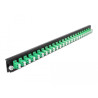 Delock 19″ LWL Spleißbox Frontblende 24 Port LC Duplex grün