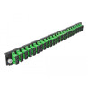 Delock 19″ LWL Spleißbox Frontblende 24 Port SC Duplex grün