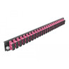 Delock 19″ LWL Spleißbox Frontblende 24 Port SC Duplex violett