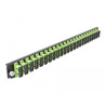 Delock 19″ LWL Spleißbox Frontblende 24 Port SC Duplex lindgrün