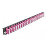 Delock 19″ LWL Spleißbox Frontblende 24 Port LC Quad violett