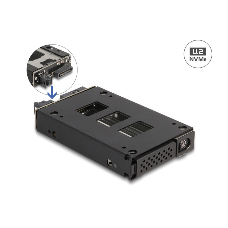 Delock Slim Bay Wechselrahmen für 1 x 2.5″ U.2 NVMe SSD
