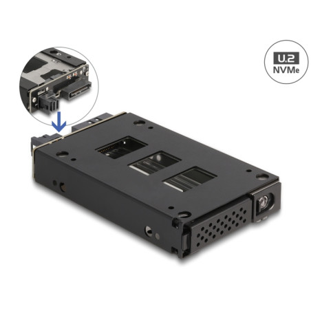 Delock Slim Bay Wechselrahmen für 1 x 2.5″ U.2 NVMe SSD