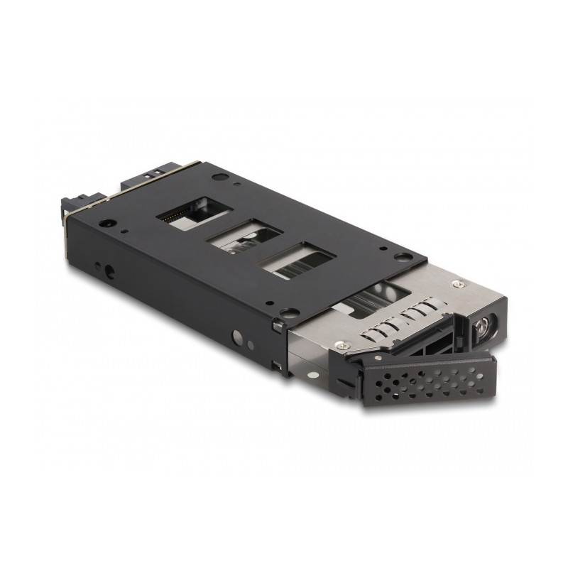 Delock Slim Bay Wechselrahmen für 1 x 2.5″ U.2 NVMe SSD