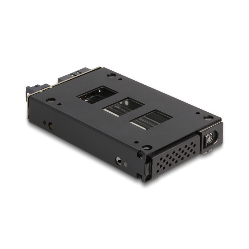 Delock Slim Bay Wechselrahmen für 1 x 2.5″ U.2 NVMe SSD