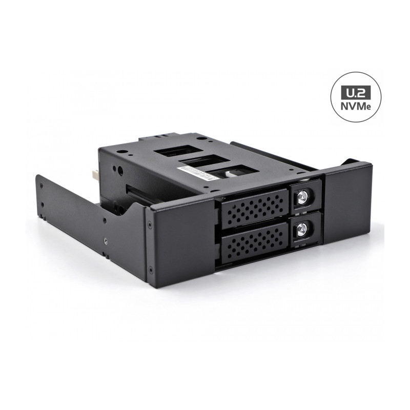 Delock Slim Bay Wechselrahmen für 2 x 2.5″ U.2 NVMe SSD mit 5.25″ Rahmen