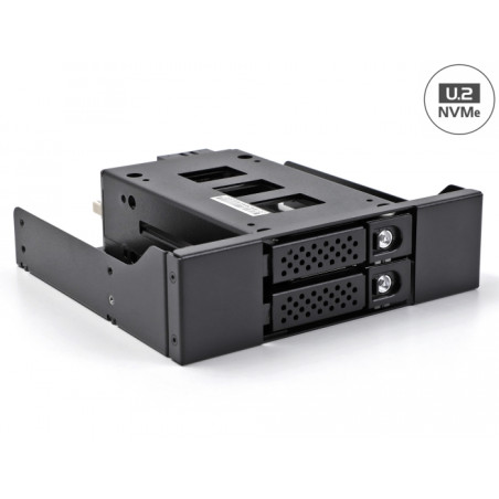 Delock Slim Bay Wechselrahmen für 2 x 2.5″ U.2 NVMe SSD mit 5.25″ Rahmen