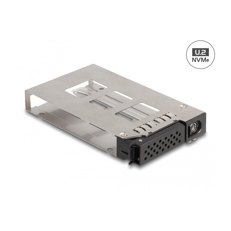 Delock Wechselrahmen Einschub für 1 x 2.5″ U.2 NVMe SSD für Wechselrahmen 47005 / 47011 / 47019 / 47141