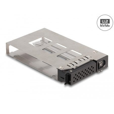 Delock Wechselrahmen Einschub für 1 x 2.5″ U.2 NVMe SSD für Wechselrahmen 47005 / 47011 / 47019 / 47141