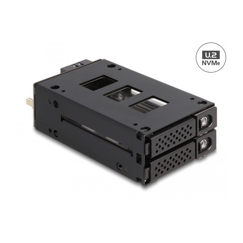Delock Slim Bay Wechselrahmen für 2 x 2.5″ U.2 NVMe SSD