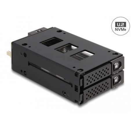 Delock Slim Bay Wechselrahmen für 2 x 2.5″ U.2 NVMe SSD