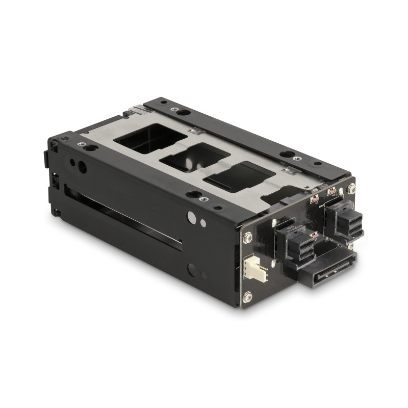 Delock Slim Bay Wechselrahmen für 2 x 2.5″ U.2 NVMe SSD