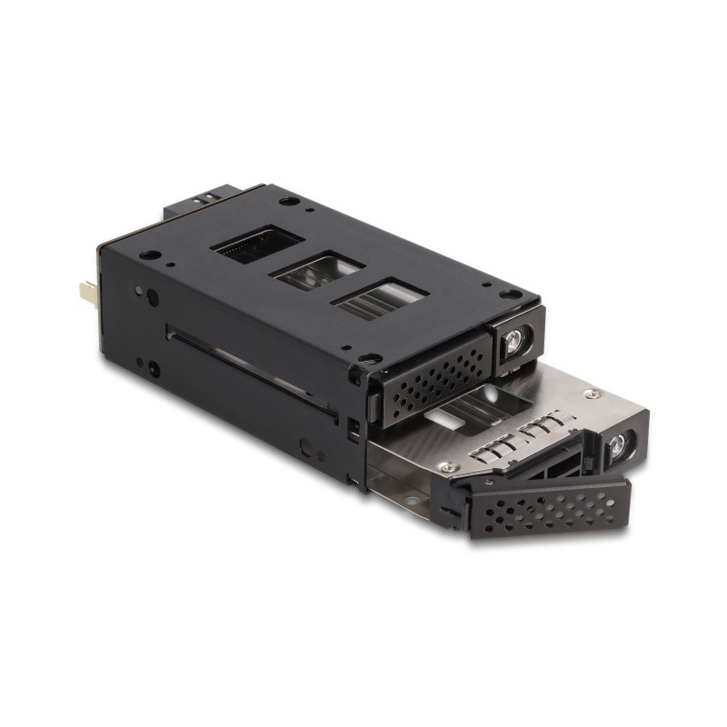 Delock Slim Bay Wechselrahmen für 2 x 2.5″ U.2 NVMe SSD