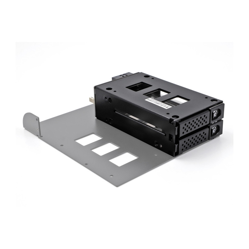 Delock Slim Bay Wechselrahmen für 2 x 2.5″ U.2 NVMe SSD
