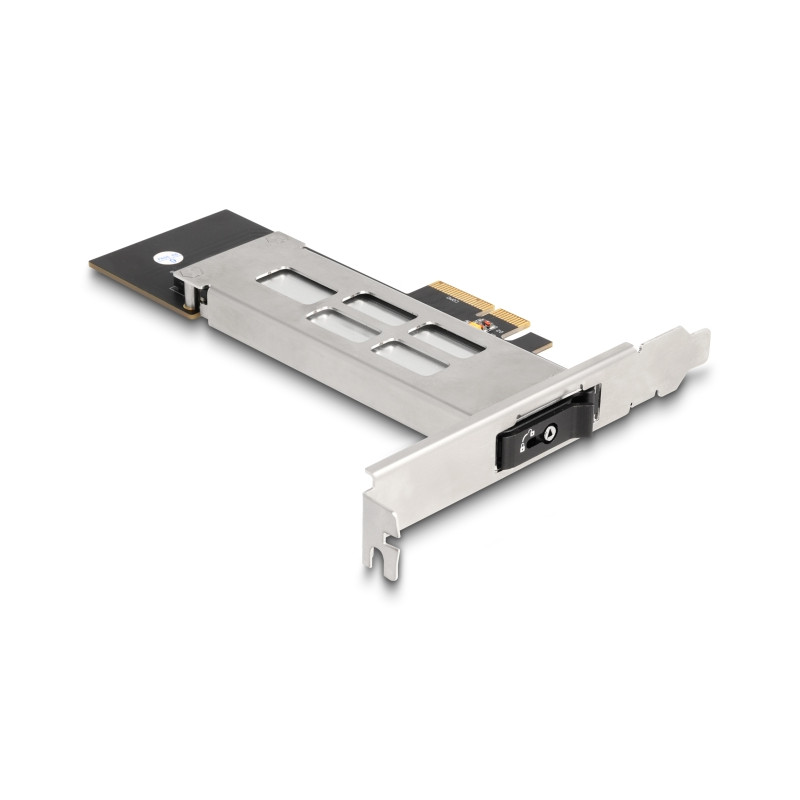 Delock Wechselrahmen PCI Express Karte für 1 x M.2 NVMe SSD - Low Profile Formfaktor