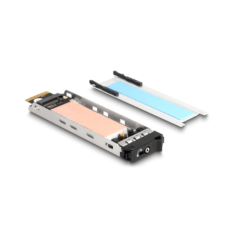 Delock Wechselrahmen PCI Express Karte für 1 x M.2 NVMe SSD - Low Profile Formfaktor