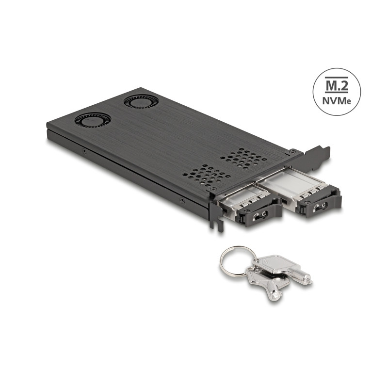 Delock PCI Express x16 Karte Wechselrahmen für 2 x M.2 NVMe SSD - Bifurcation