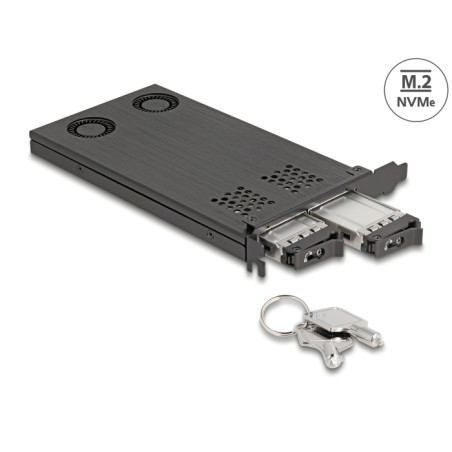 Delock PCI Express x16 Karte Wechselrahmen für 2 x M.2 NVMe SSD - Bifurcation