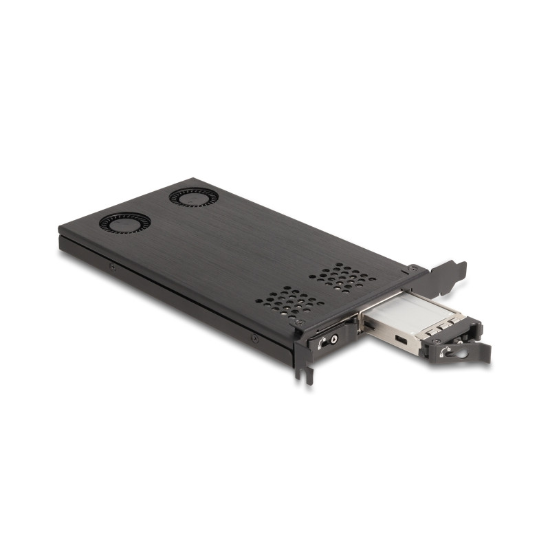 Delock PCI Express x16 Karte Wechselrahmen für 2 x M.2 NVMe SSD - Bifurcation