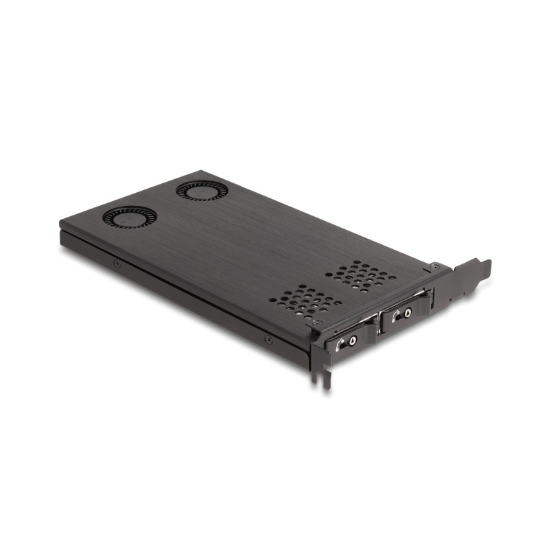 Delock PCI Express x16 Karte Wechselrahmen für 2 x M.2 NVMe SSD - Bifurcation