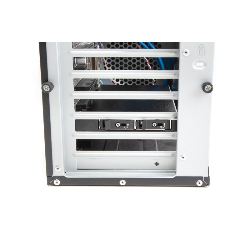 Delock PCI Express x16 Karte Wechselrahmen für 2 x M.2 NVMe SSD - Bifurcation