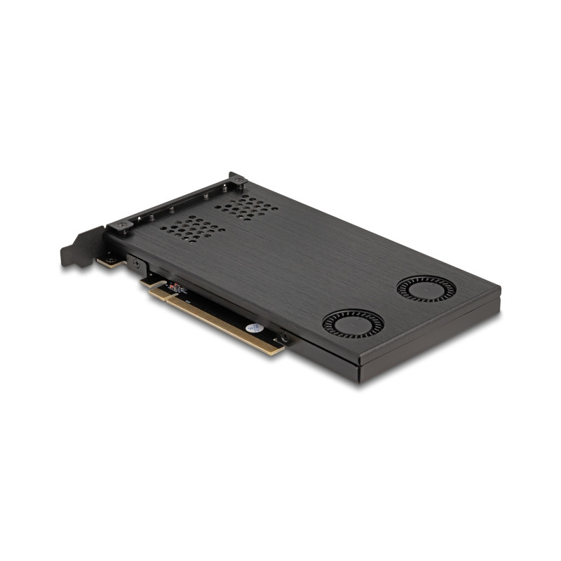 Delock PCI Express x16 Karte Wechselrahmen für 2 x M.2 NVMe SSD - Bifurcation