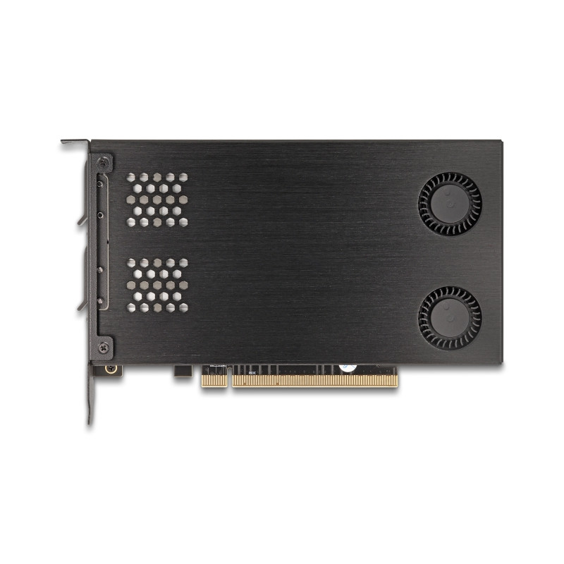 Delock PCI Express x16 Karte Wechselrahmen für 2 x M.2 NVMe SSD - Bifurcation