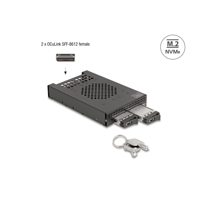 Delock 3.5″ Wechselrahmen für 2 x M.2 NVMe SSD mit OcuLink SFF-8612 Anschluss