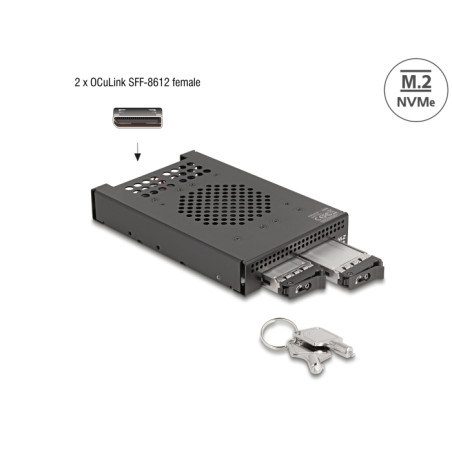 Delock 3.5″ Wechselrahmen für 2 x M.2 NVMe SSD mit OcuLink SFF-8612 Anschluss