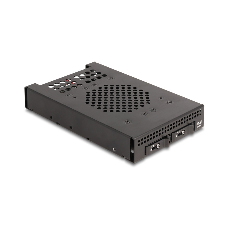 Delock 3.5″ Wechselrahmen für 2 x M.2 NVMe SSD mit OcuLink SFF-8612 Anschluss