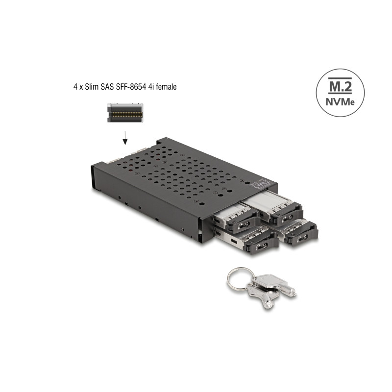 Delock 3.5″ Wechselrahmen für 4 x M.2 NVMe SSD mit Slim SAS SFF-8654 Anschluss