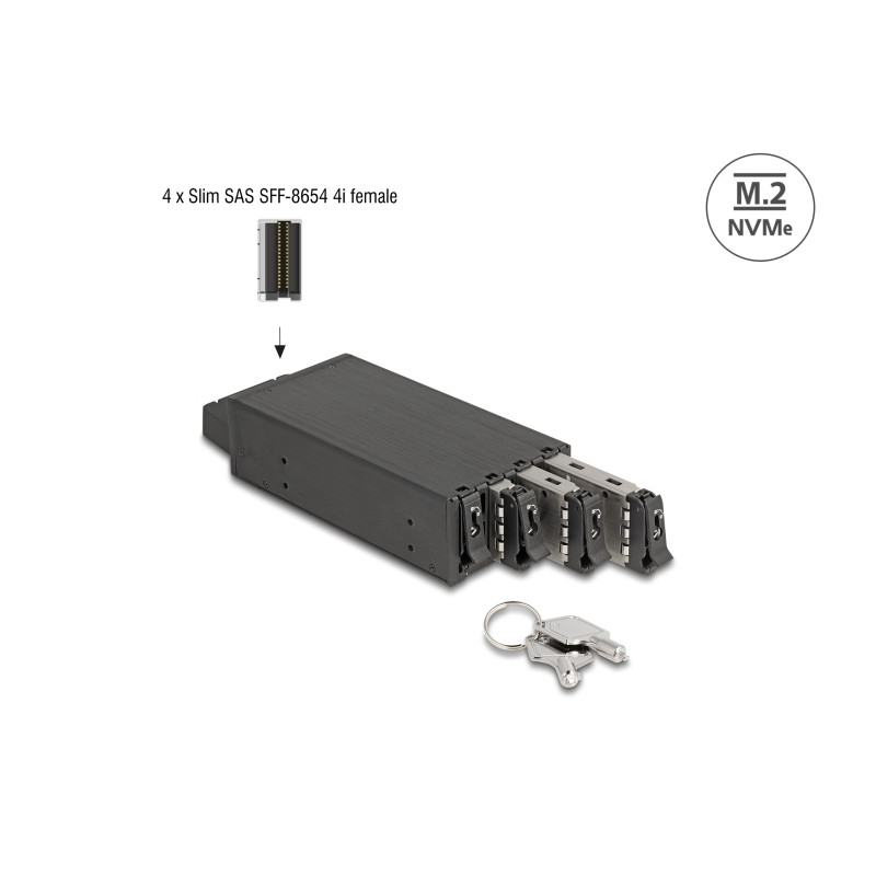 Delock Slim Bay Wechselrahmen für 4 x M.2 NVMe SSD mit Slim SAS SFF-8654 Anschluss
