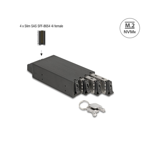 Delock Slim Bay Wechselrahmen für 4 x M.2 NVMe SSD mit Slim SAS SFF-8654 Anschluss