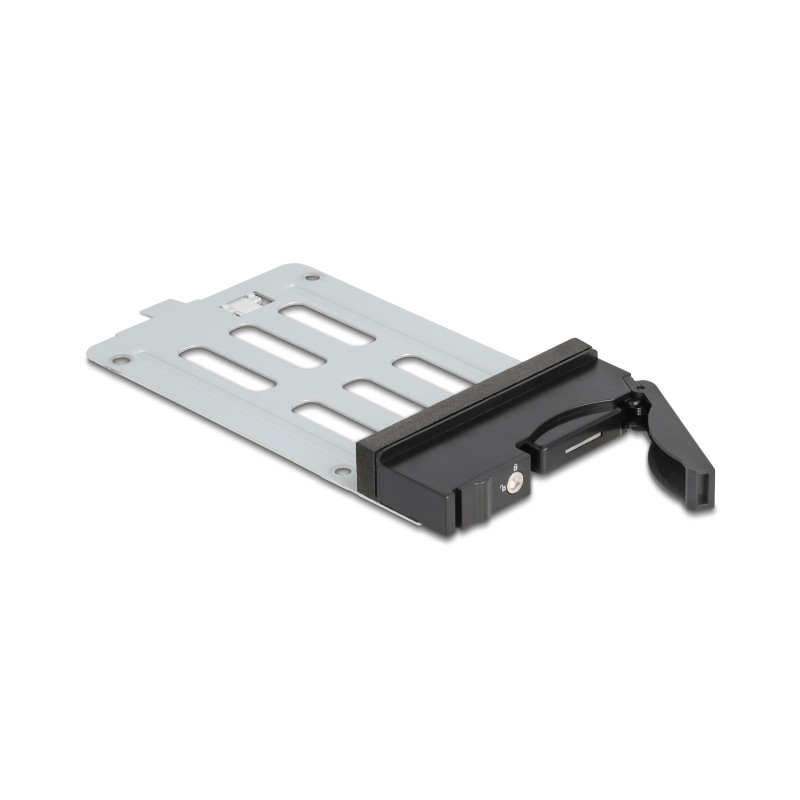 Delock Wechselrahmen Einschub für 1 x 2.5″ SATA / SAS HDD / SSD für Wechselrahmen 47220, 47230