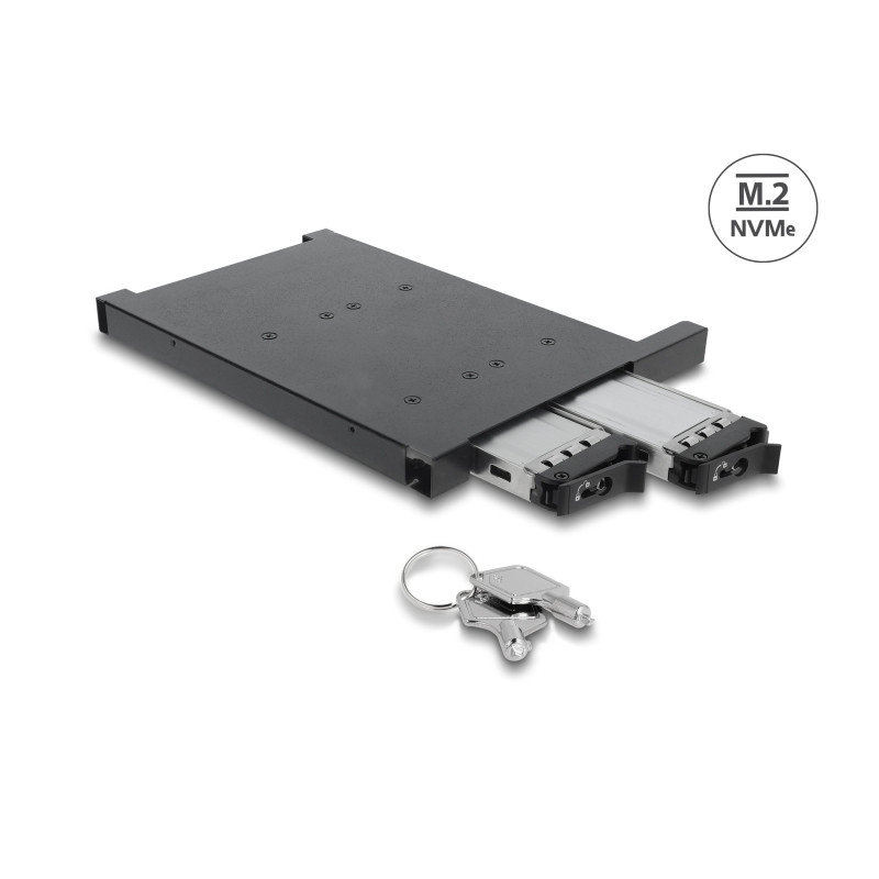 Delock Wechselrahmen für 2 x M.2 NMVe SSD mit SFF-8654 Anschluss für 12,7 mm Slim ODD Schacht