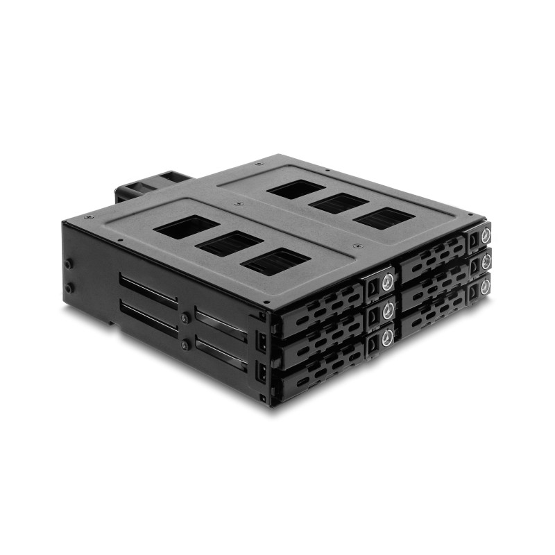 Delock 5.25″ Wechselrahmen für 6 x 2.5″ SATA oder SAS HDD / SSD mit Schloss
