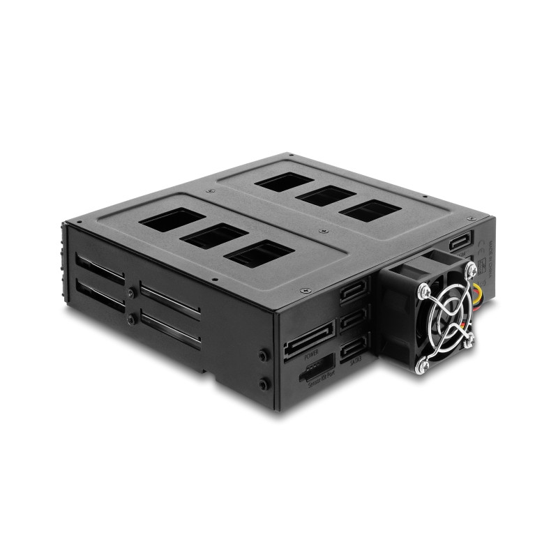 Delock 5.25″ Wechselrahmen für 6 x 2.5″ SATA oder SAS HDD / SSD mit Schloss