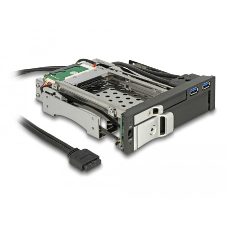 Delock 5.25″ Wechselrahmen für 1 x 2.5″ + 1 x 3.5″ SATA HDD + 2 x USB 3.0 Ports