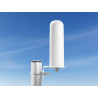 Delock LTE Antenne N Buchse 4 - 6 dBi 22 cm omnidirektional starr Wand- und Mastmontage weiß outdoor