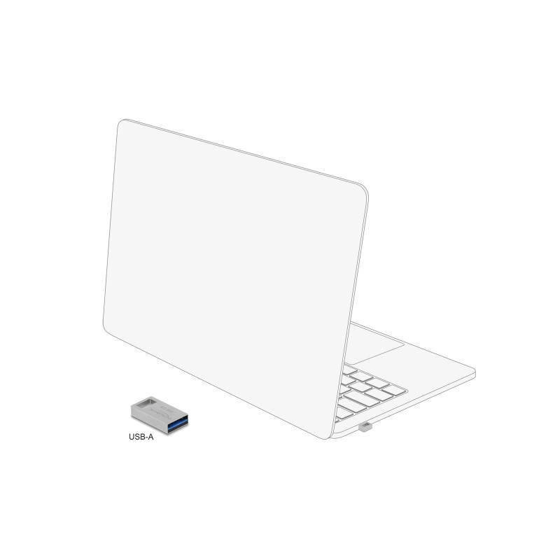 Delock USB 5 Gbps Speicherstick 256 GB - Metallgehäuse