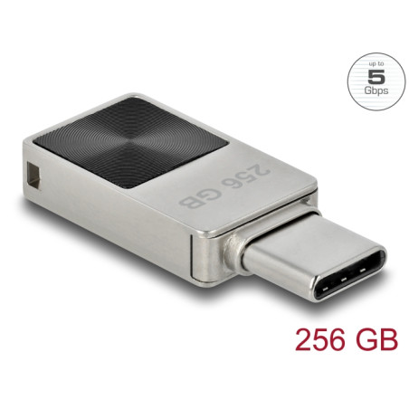 Delock Mini USB 5 Gbps USB-C™ Speicherstick 256 GB - Metallgehäuse