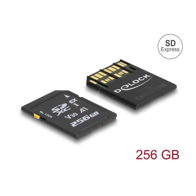 Delock SD Express Speicherkarte 256 GB
