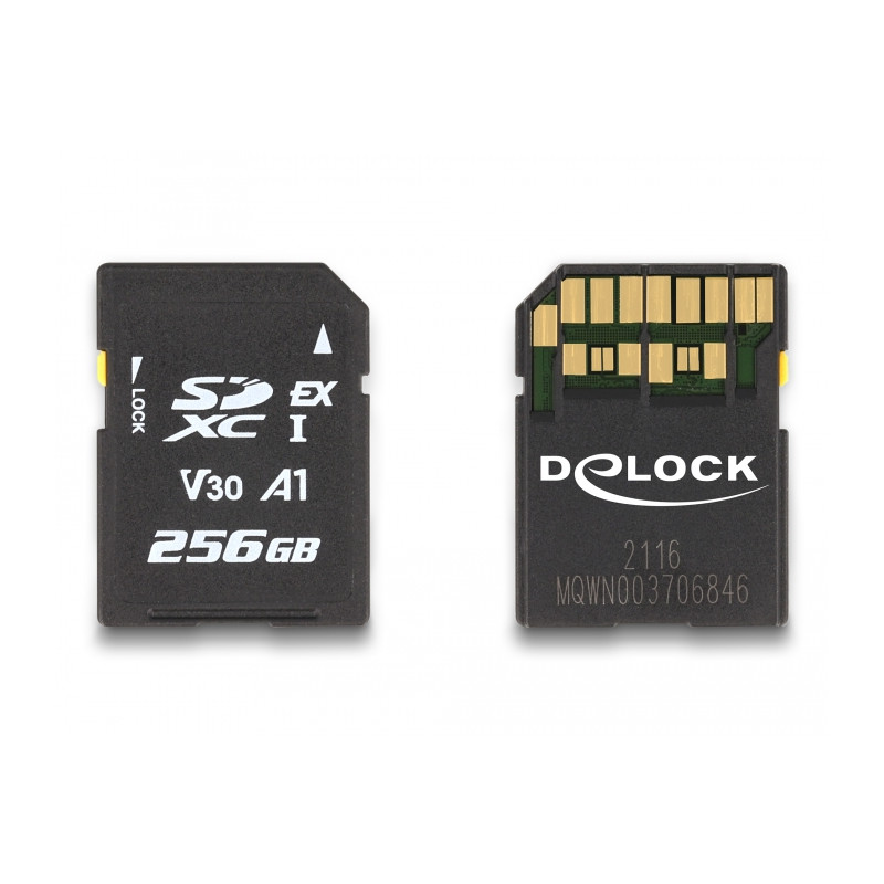 Delock SD Express Speicherkarte 256 GB