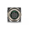 Delock M12 Adapter D-kodiert 4 Pin Buchse zu RJ45 Buchse gerade