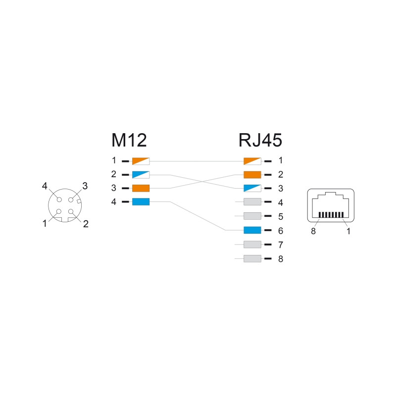 Delock M12 Adapter D-kodiert 4 Pin Buchse zu RJ45 Buchse gerade