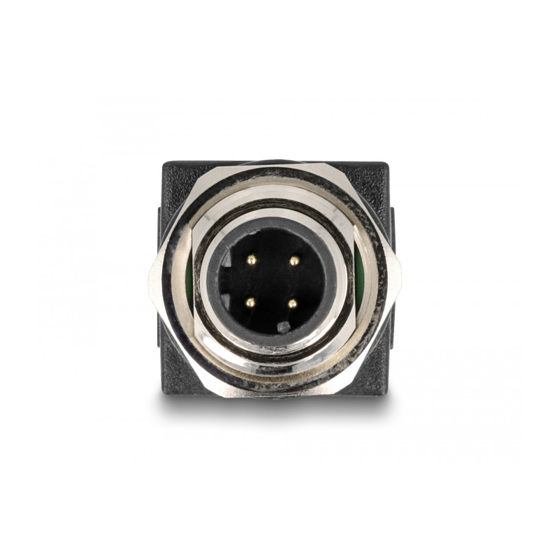 Delock M12 Adapter D-kodiert 4 Pin Stecker zu RJ45 Buchse gerade
