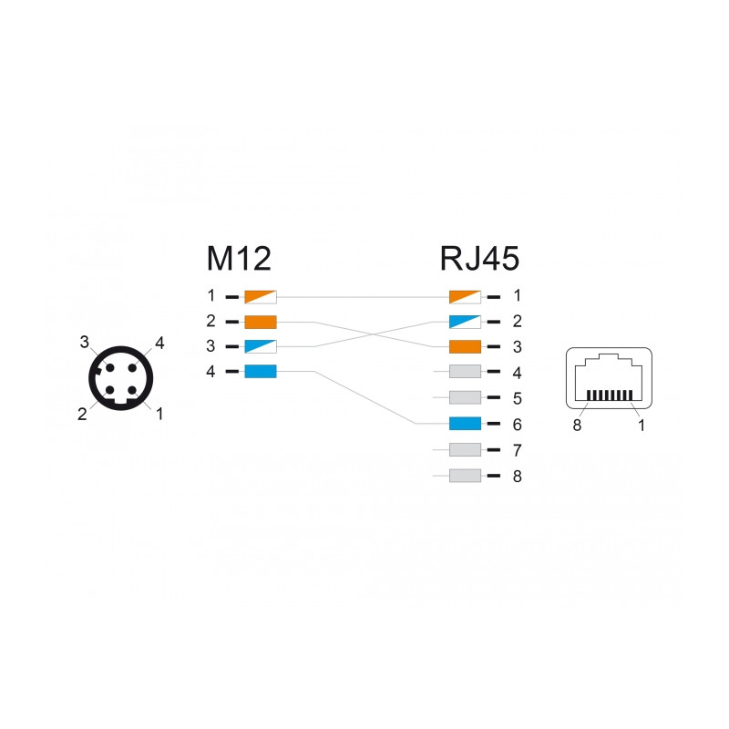 Delock M12 Adapter D-kodiert 4 Pin Stecker zu RJ45 Buchse gerade