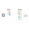 Delock M12 Adapter D-kodiert 4 Pin Stecker zu RJ45 Buchse gerade