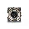 Delock M12 Adapter A-kodiert 8 Pin Stecker zu RJ45 Buchse gerade