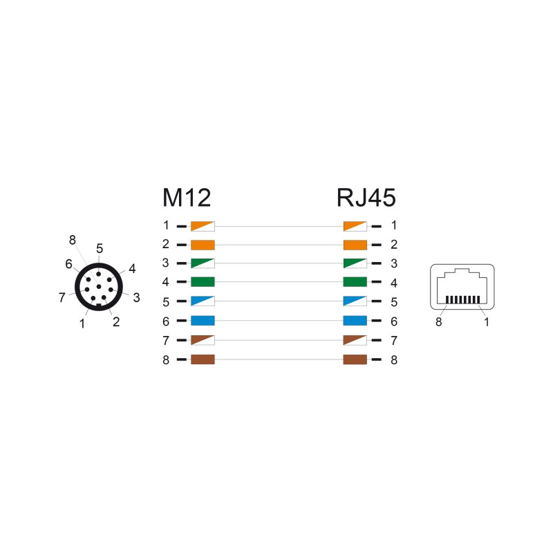 Delock M12 Adapter A-kodiert 8 Pin Stecker zu RJ45 Buchse gerade
